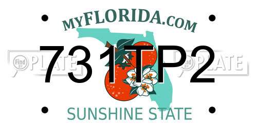 731TP2 Florida License Plate