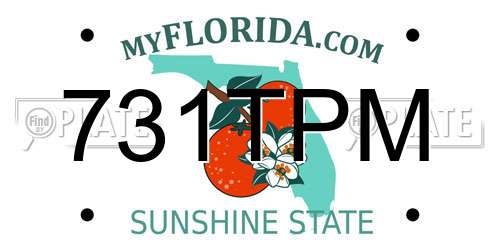 731TPM Florida License Plate
