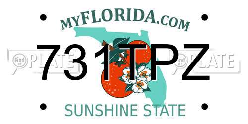731TPZ Florida License Plate
