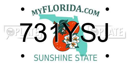 731YSJ Florida License Plate