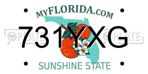 731YXG Florida License Plate