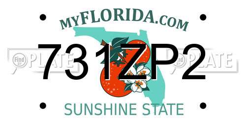 731ZP2 Florida License Plate