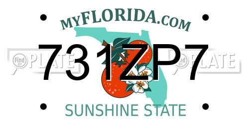 731ZP7 Florida License Plate