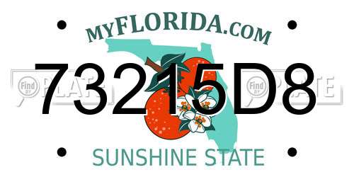 73215D8 Florida License Plate