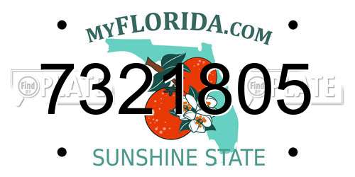 7321805 Florida License Plate