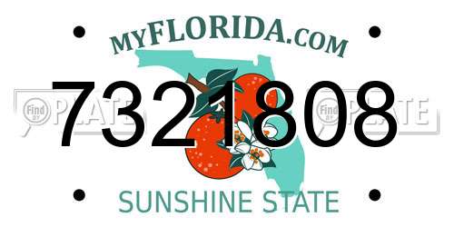 7321808 Florida License Plate