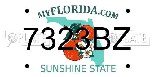 7323BZ Florida License Plate