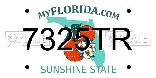 7325TR Florida License Plate