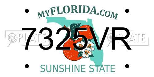 7325VR Florida License Plate