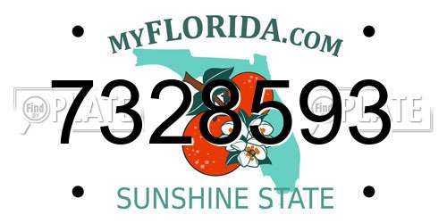 7328593 Florida License Plate