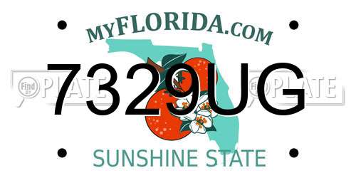 7329UG Florida License Plate
