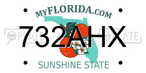 732AHX Florida License Plate