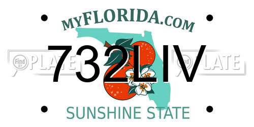 732LIV Florida License Plate