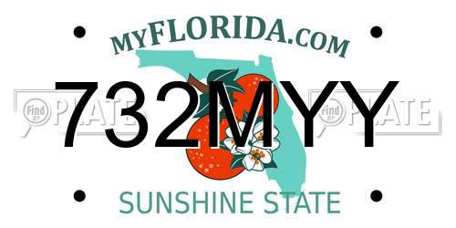 732MYY Florida License Plate