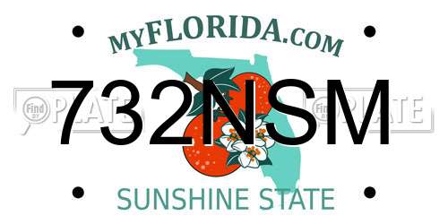 732NSM Florida License Plate
