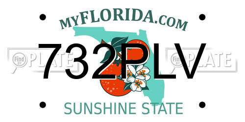 732PLV Florida License Plate