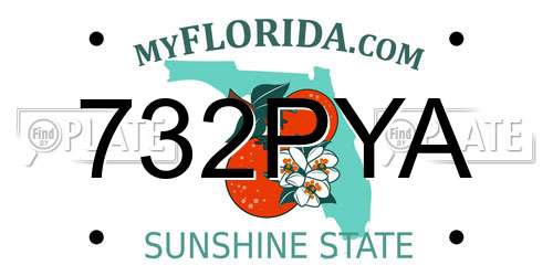 732PYA Florida License Plate