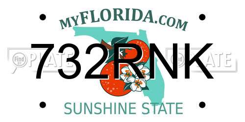 732RNK Florida License Plate