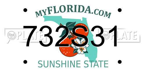 732S31 Florida License Plate