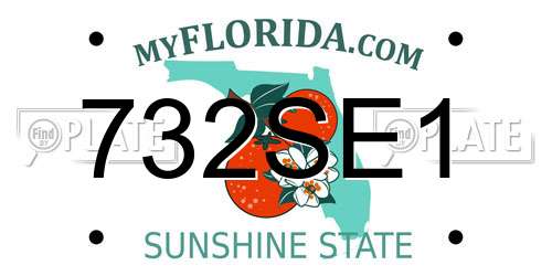 732SE1 Florida License Plate