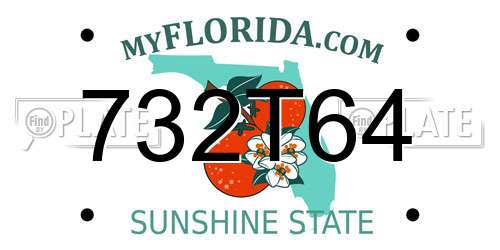 732T64 Florida License Plate