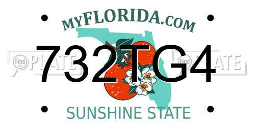 732TG4 Florida License Plate