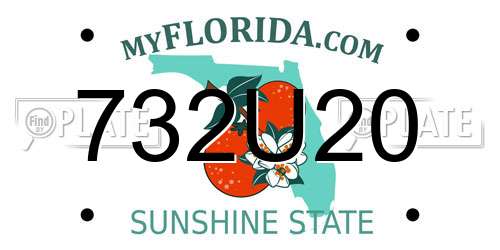 732U20 Florida License Plate