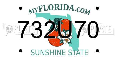 732U70 Florida License Plate