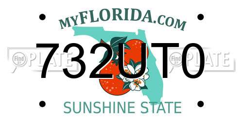732UT0 Florida License Plate
