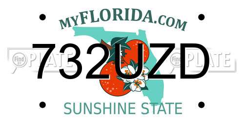 732UZD Florida License Plate