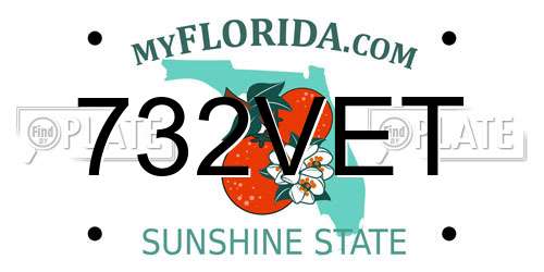 732VET Florida License Plate