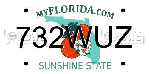 732WUZ Florida License Plate