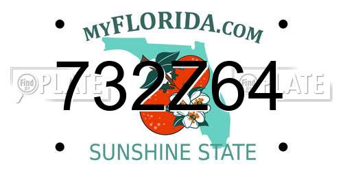 732Z64 Florida License Plate