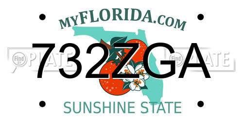 732ZGA Florida License Plate