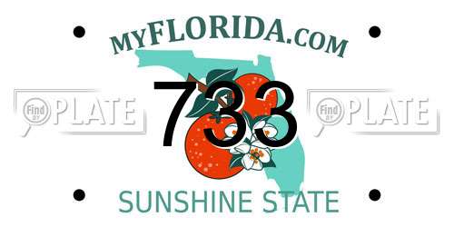 733 Florida License Plate