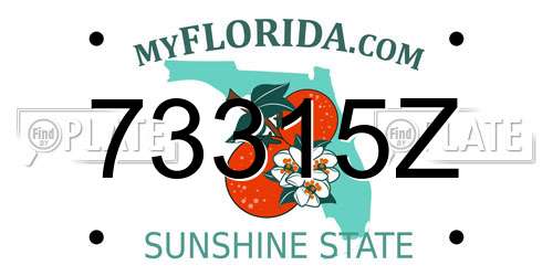 73315Z Florida License Plate