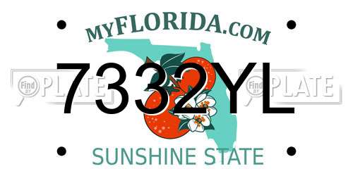 7332YL Florida License Plate