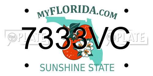 7333VC Florida License Plate