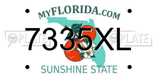 7335XL Florida License Plate