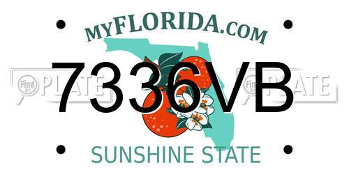 7336VB Florida License Plate