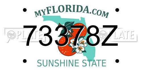 73378Z Florida License Plate