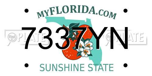 7337YN Florida License Plate