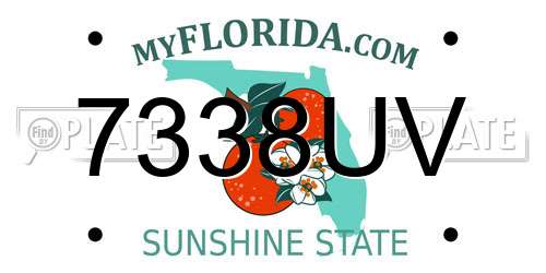 7338UV Florida License Plate