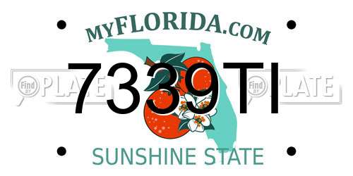 7339TI Florida License Plate