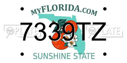 7339TZ Florida License Plate