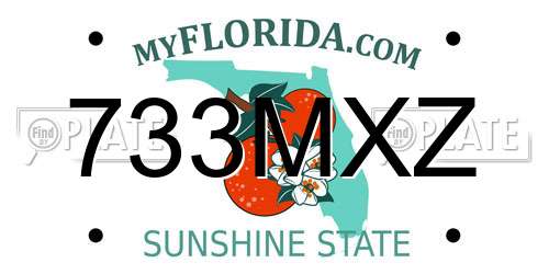733MXZ Florida License Plate