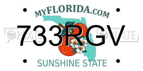 733RGV Florida License Plate