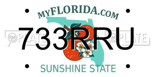 733RRU Florida License Plate