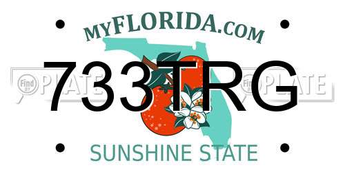 733TRG Florida License Plate