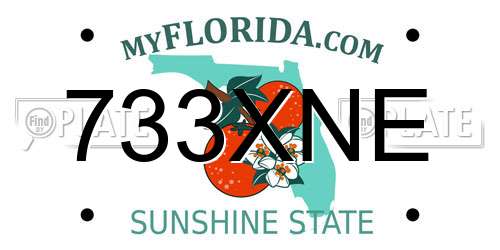 733XNE Florida License Plate